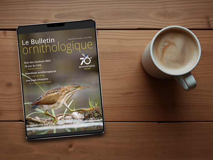 Publications