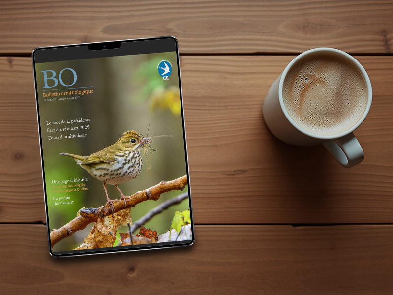 Publications
