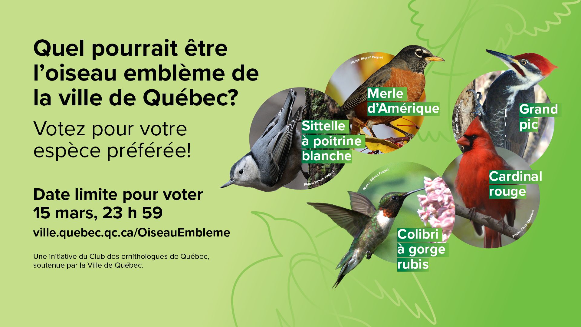 Oiseau emblème de la Ville de Québec